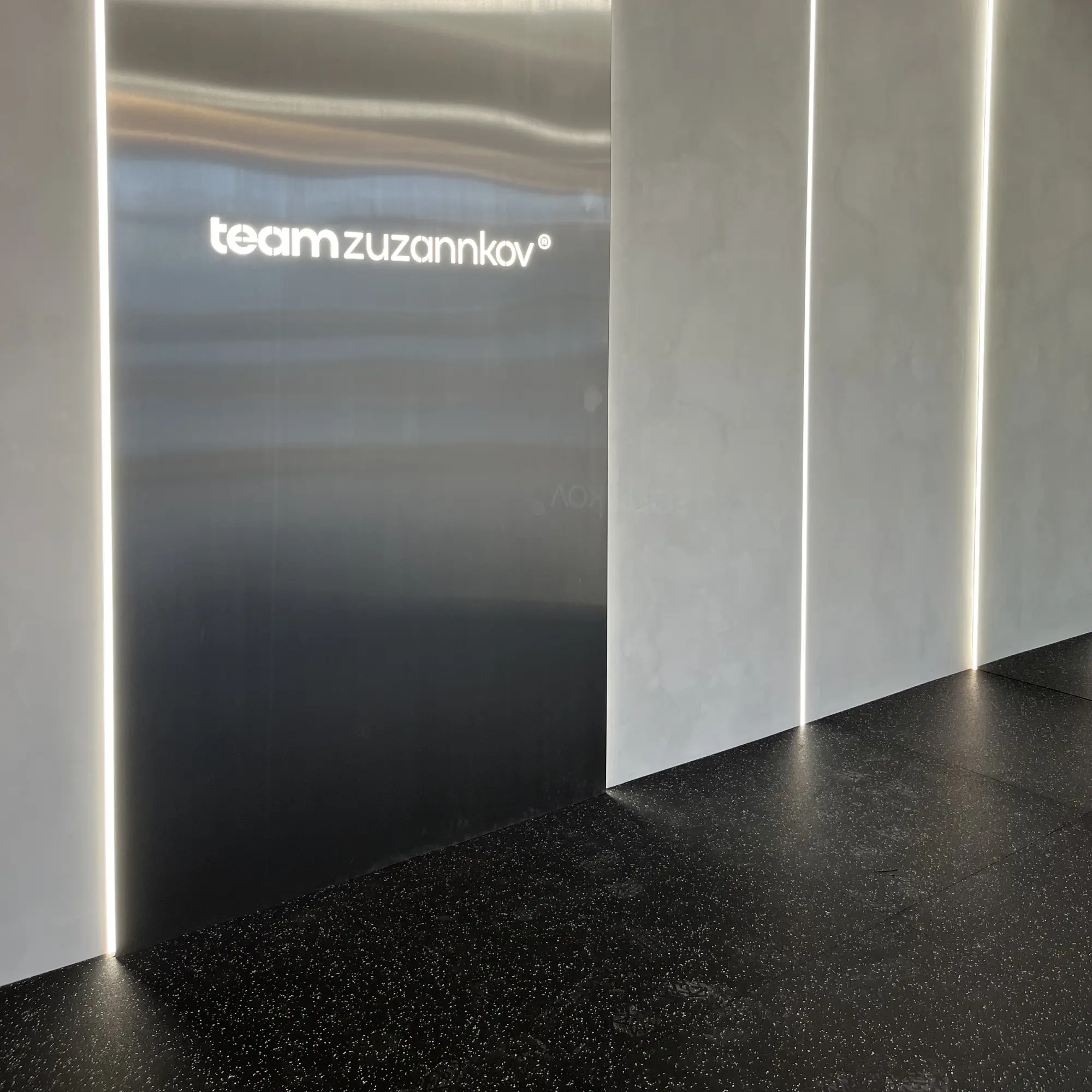 Realizacja TeamZuzannkov